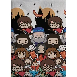 Harry Potter polár takaró 100x140cm
