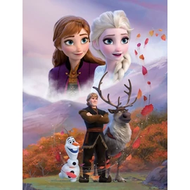 Disney Jégvarázs Wind polár takaró 130x170 cm