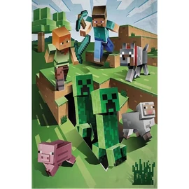 Minecraft polár takaró 100*150cm