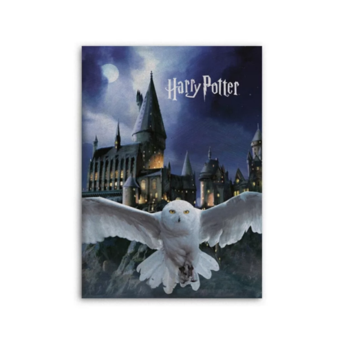 Harry Potter Roxfort polár takaró 100x140cm